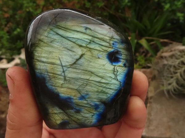 Polished Flashy Blue Labradorite Standing Free Forms  x 6 From Tulear, Madagascar - TopRock