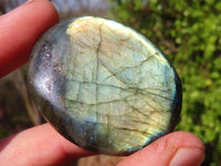 Polished Flashy Labradorite Palm Stones  x 20 From Tulear, Madagascar - Toprock Gemstones and Minerals 