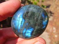Polished Flashy Labradorite Palm Stones  x 20 From Tulear, Madagascar - Toprock Gemstones and Minerals 