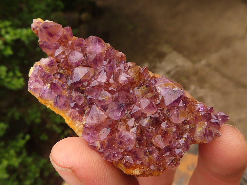 Natural Small Dark "Amethystos" Amethyst Clusters  x 35 From Kwaggafontein, South Africa - Toprock Gemstones and Minerals 