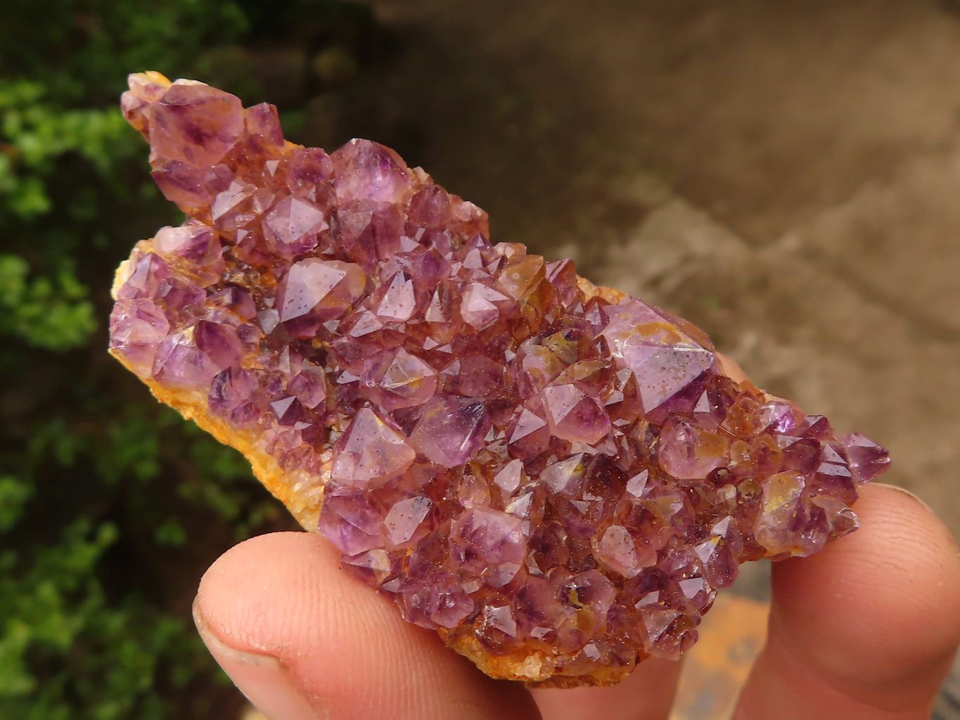 Natural Small Dark "Amethystos" Amethyst Clusters  x 35 From Kwaggafontein, South Africa - Toprock Gemstones and Minerals 