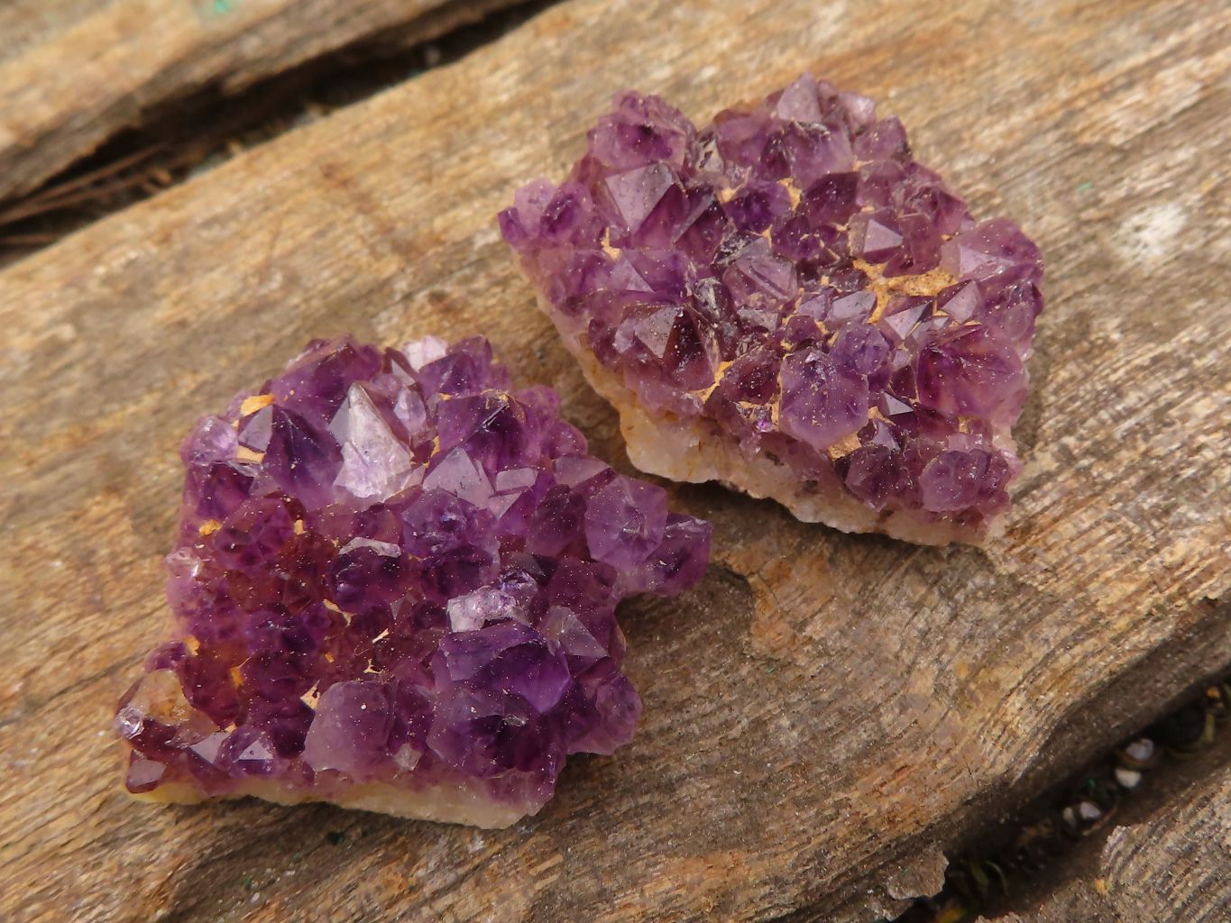 Natural Small Dark "Amethystos" Amethyst Clusters  x 35 From Kwaggafontein, South Africa - Toprock Gemstones and Minerals 