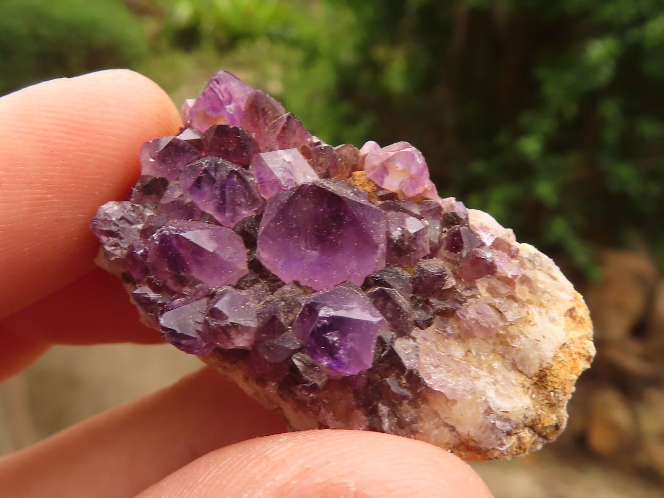 Natural Small Dark "Amethystos" Amethyst Clusters  x 35 From Kwaggafontein, South Africa - Toprock Gemstones and Minerals 