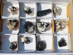 Natural Schorl Black Tourmaline Specimens x 12 From Erongo, Namibia - Toprock Gemstones and Minerals 