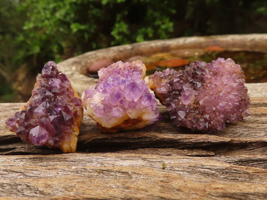 Natural Small Dark "Amethystos" Amethyst Clusters  x 35 From Kwaggafontein, South Africa - Toprock Gemstones and Minerals 