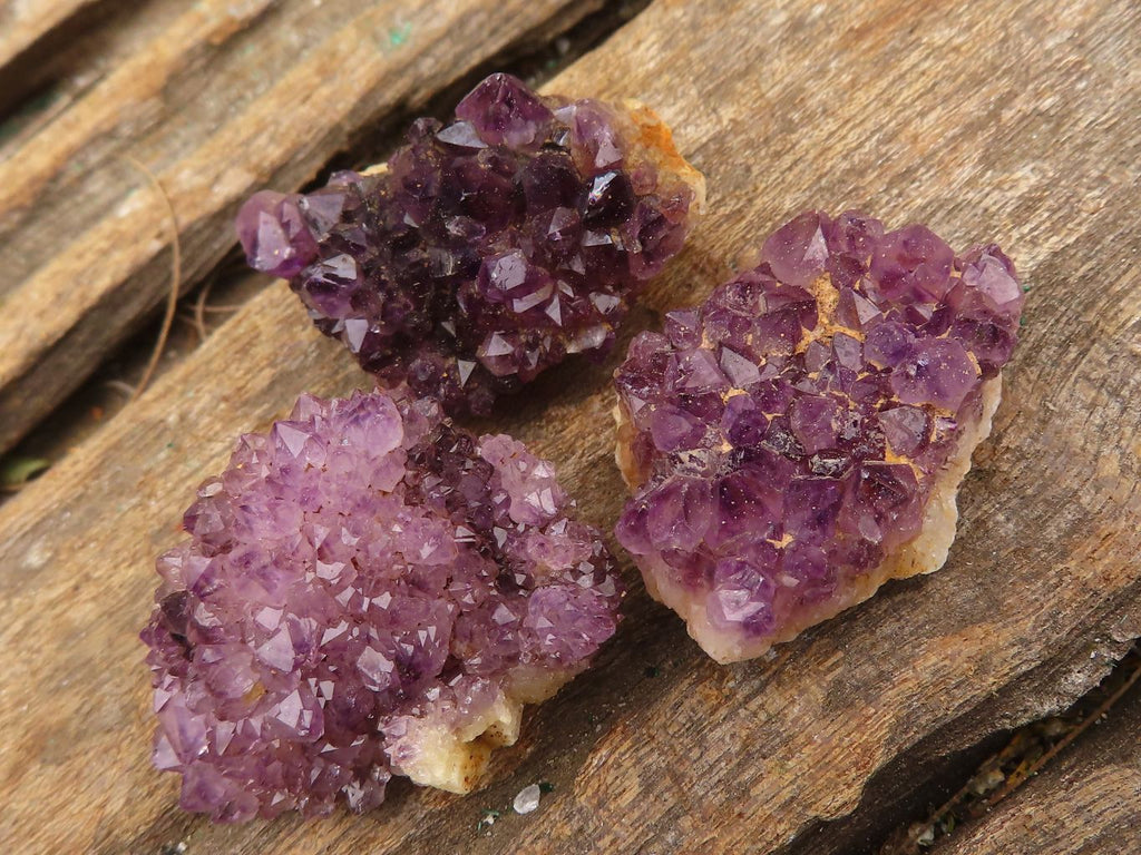 Natural Small Dark "Amethystos" Amethyst Clusters  x 35 From Kwaggafontein, South Africa - Toprock Gemstones and Minerals 