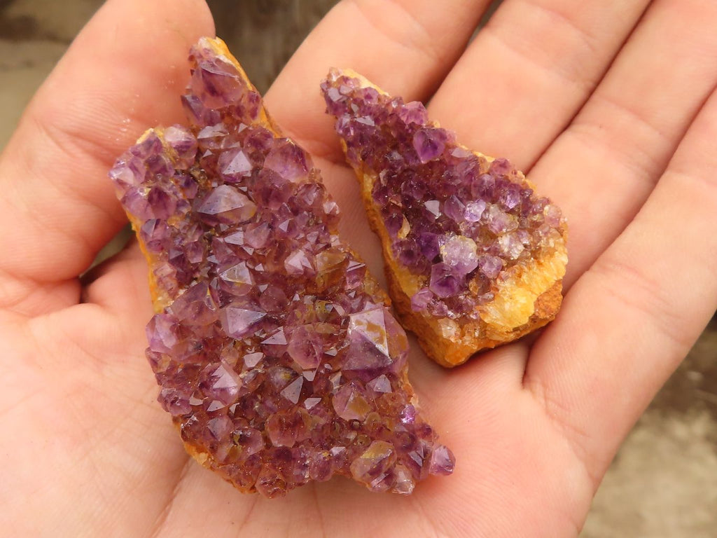 Natural Small Dark "Amethystos" Amethyst Clusters  x 35 From Kwaggafontein, South Africa - Toprock Gemstones and Minerals 
