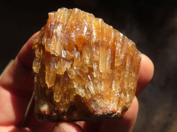 Natural Honey Aragonite Etched & Cobbed Pieces  x 12 From Namibia - Toprock Gemstones and Minerals 