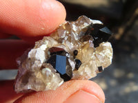 Natural Schorl Black Tourmaline Specimens x 12 From Erongo, Namibia
