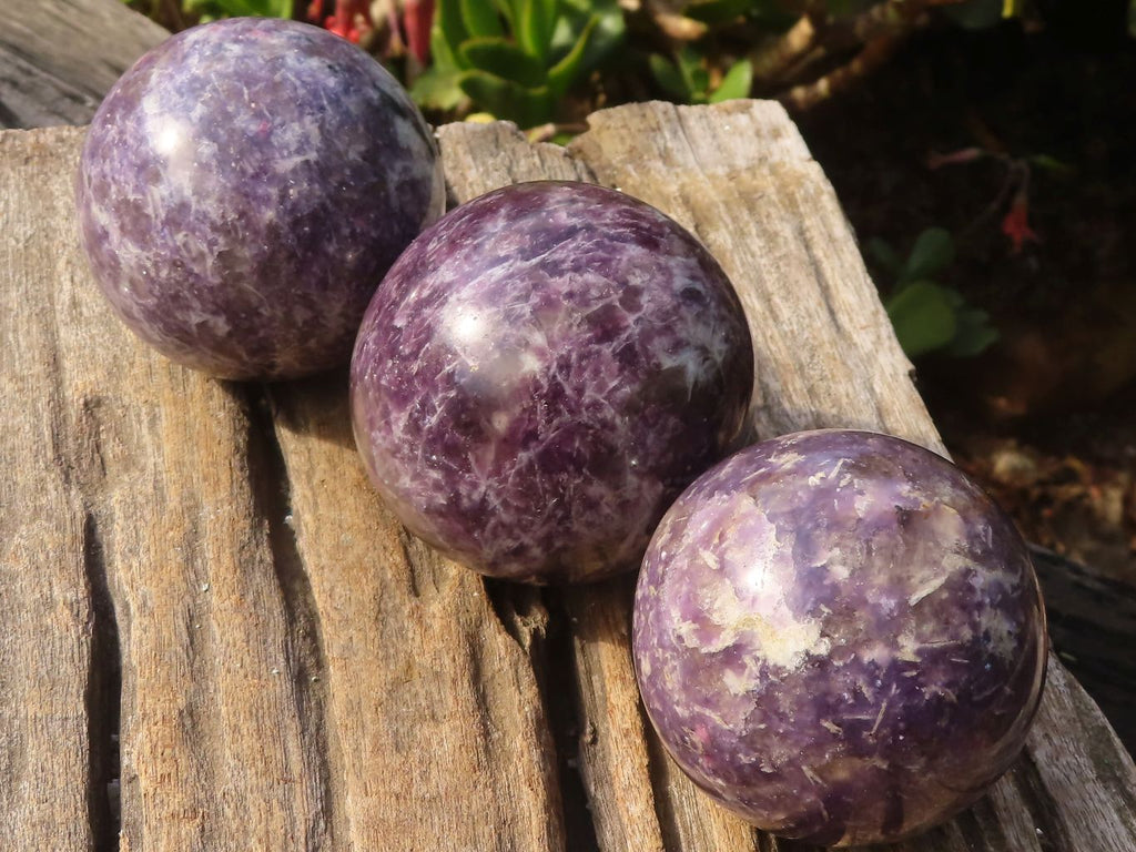 Polished  Purple Lepidolite Spheres  x 3 From Madagascar - Toprock Gemstones and Minerals 