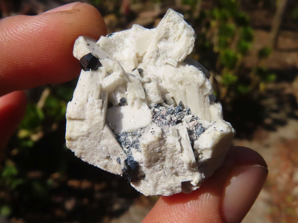 Natural Schorl Black Tourmaline Specimens x 12 From Erongo, Namibia - Toprock Gemstones and Minerals 