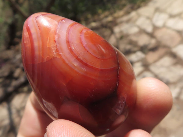 Polished Gorgeous Deep Red Carnelian Agate Eggs  x 12 From Madagascar - TopRock