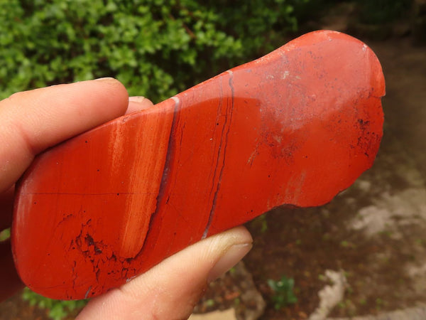Polished One Side Polished Red Jasper Free Forms  x 13 From Northern Cape, South Africa