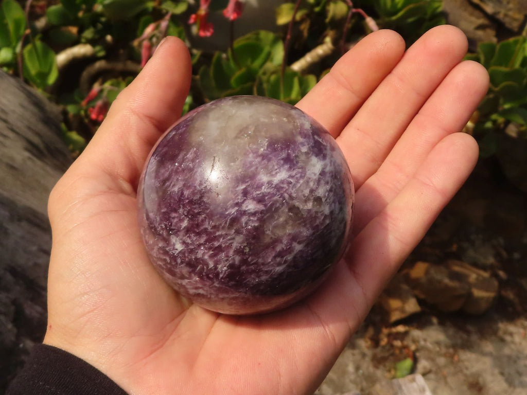 Polished  Purple Lepidolite Spheres  x 3 From Madagascar - Toprock Gemstones and Minerals 