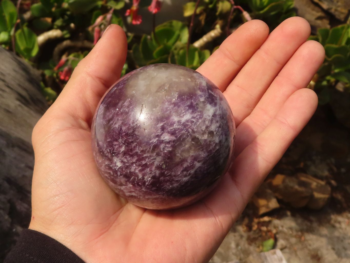 Polished  Purple Lepidolite Spheres  x 3 From Madagascar - Toprock Gemstones and Minerals 