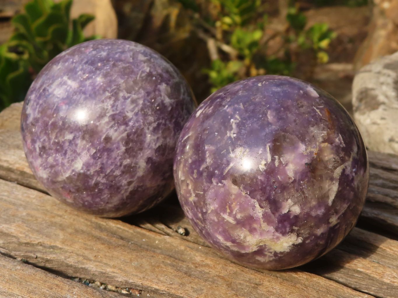 Polished  Purple Lepidolite Spheres  x 3 From Madagascar - Toprock Gemstones and Minerals 