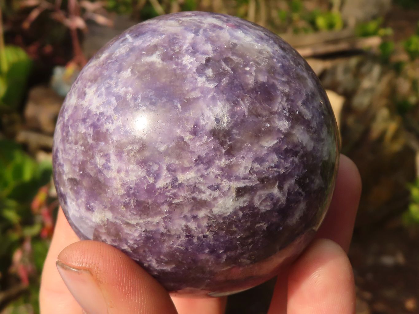 Polished  Purple Lepidolite Spheres  x 3 From Madagascar - Toprock Gemstones and Minerals 