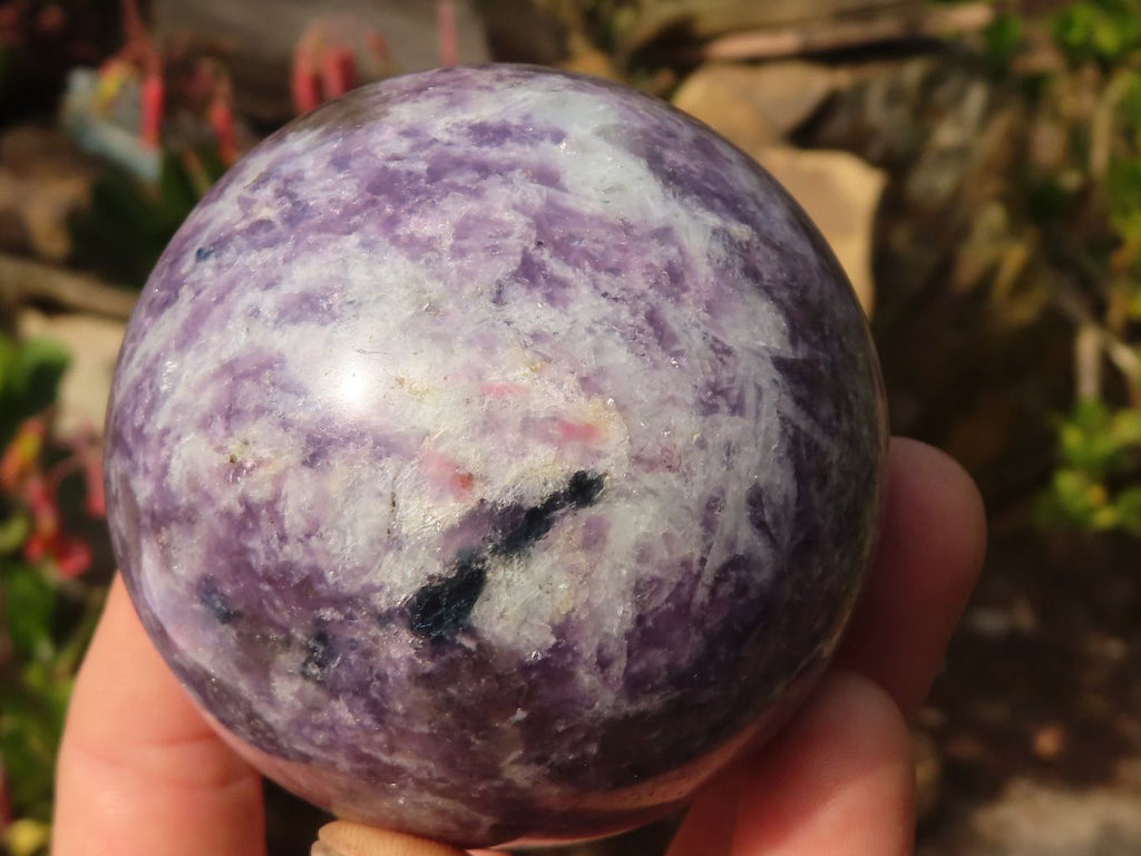 Polished  Purple Lepidolite Spheres  x 3 From Madagascar - Toprock Gemstones and Minerals 
