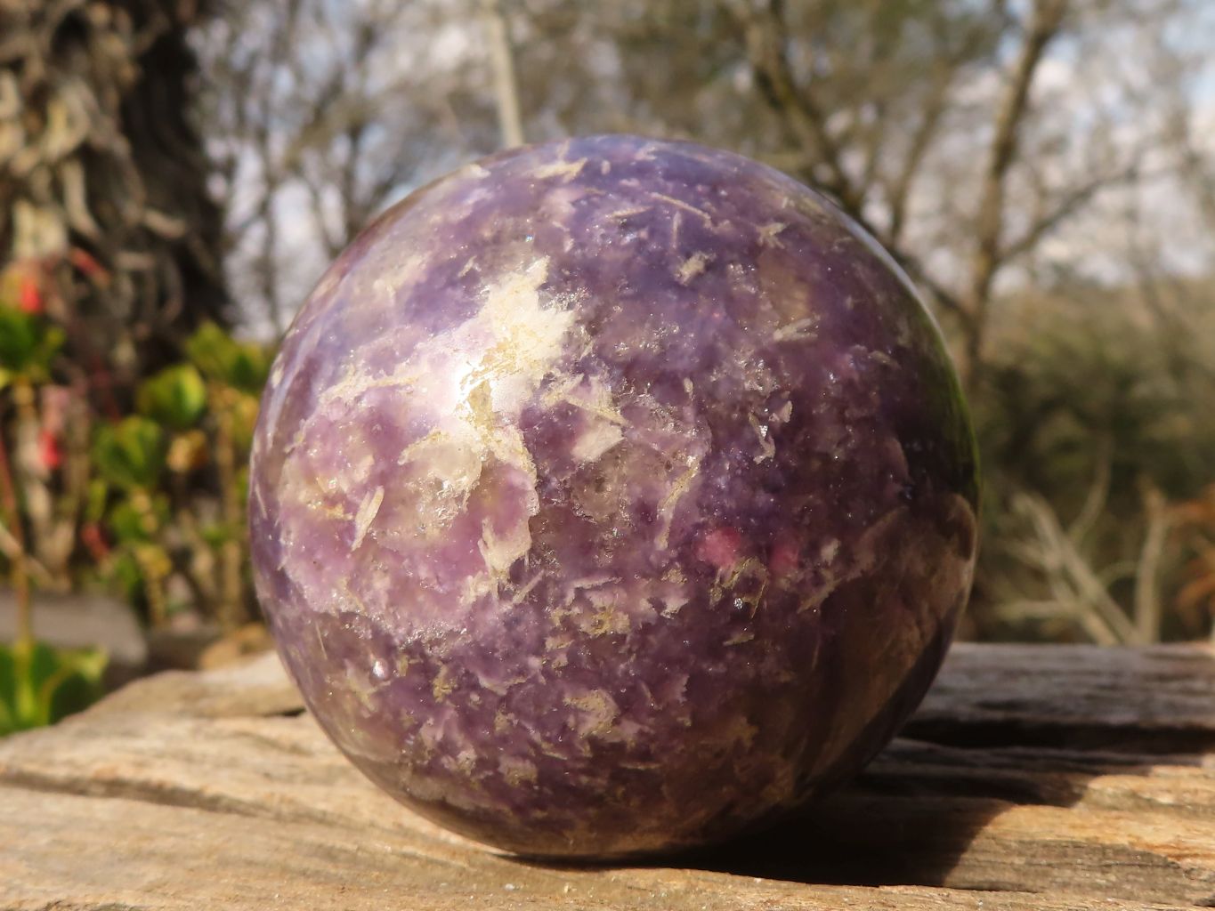 Polished  Purple Lepidolite Spheres  x 3 From Madagascar - Toprock Gemstones and Minerals 