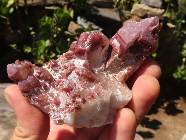 Natural Red Hematite Quartz Crystal Clusters  x 6 From Karoi, Zimbabwe - Toprock Gemstones and Minerals 
