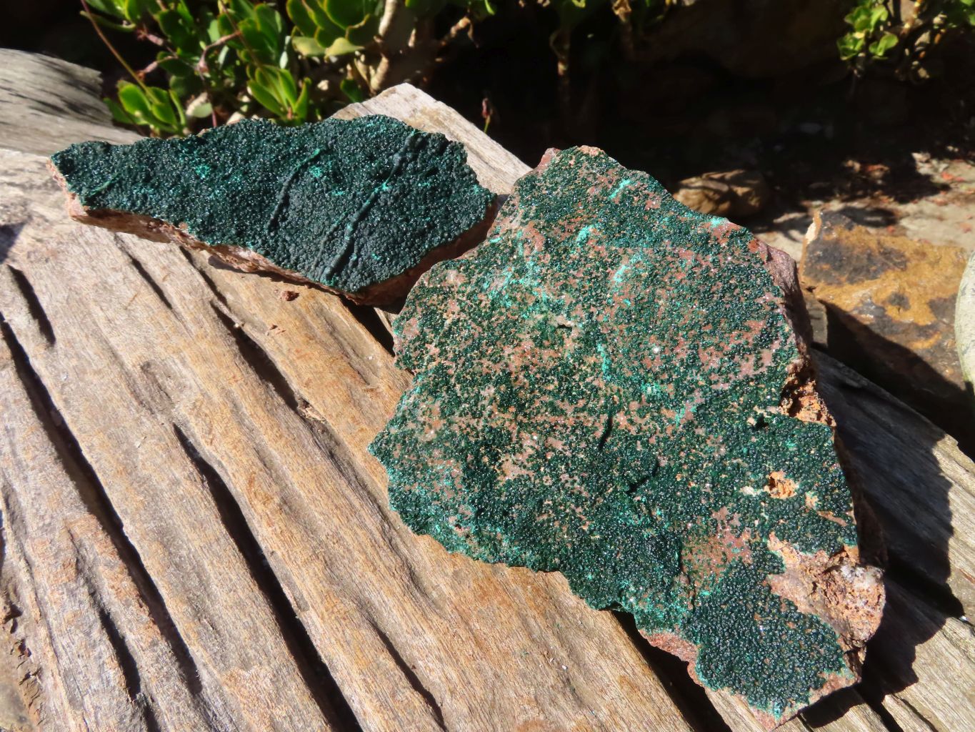 Natural Micro Botryoidal Crystalline Malachite Specimens  x 2 From Congo - Toprock Gemstones and Minerals 