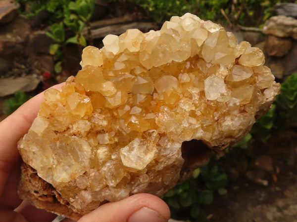Natural Golden Limonite / Lemonite Quartz Clusters  x 12 From Zambia