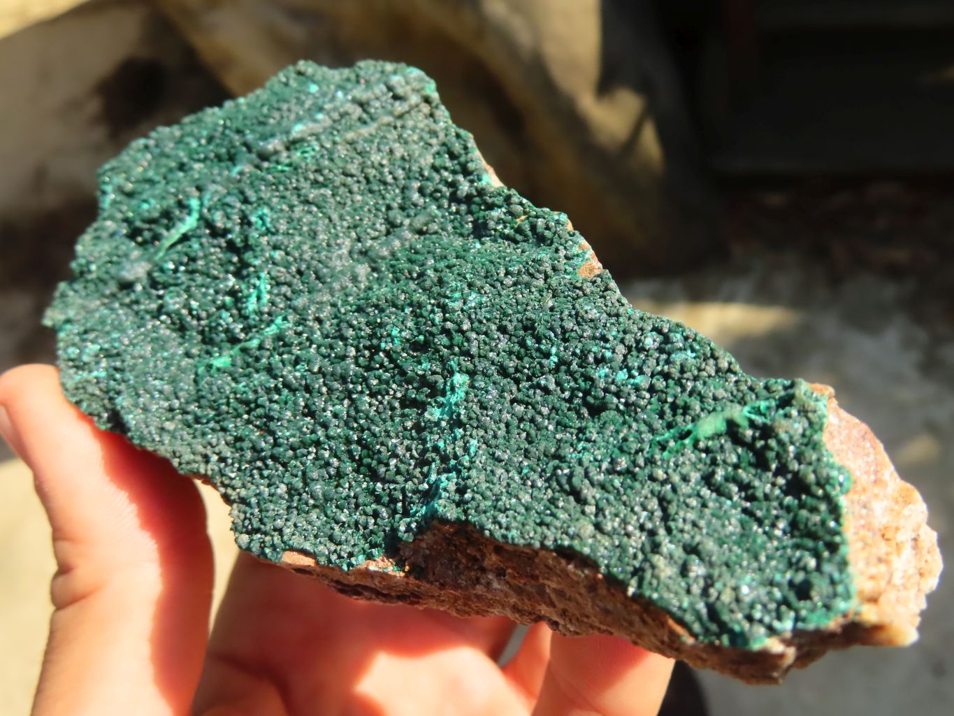 Natural Micro Botryoidal Crystalline Malachite Specimens  x 2 From Congo - Toprock Gemstones and Minerals 