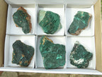 Natural Crystalline Malachite Specimens x 6 From Tenke Fungurume, Congo - TopRock