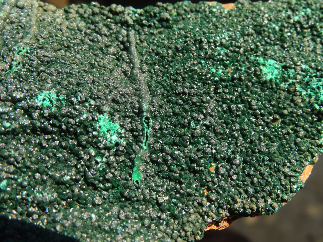 Natural Micro Botryoidal Crystalline Malachite Specimens  x 2 From Congo - Toprock Gemstones and Minerals 