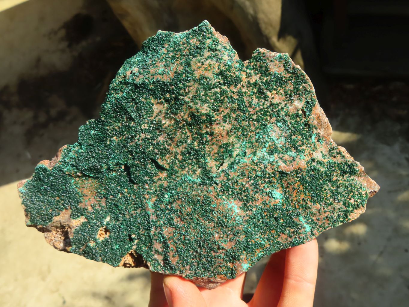 Natural Micro Botryoidal Crystalline Malachite Specimens  x 2 From Congo - Toprock Gemstones and Minerals 