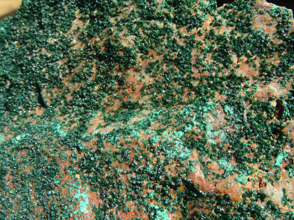 Natural Micro Botryoidal Crystalline Malachite Specimens  x 2 From Congo - Toprock Gemstones and Minerals 