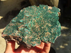 Natural Micro Botryoidal Crystalline Malachite Specimens  x 2 From Congo - Toprock Gemstones and Minerals 