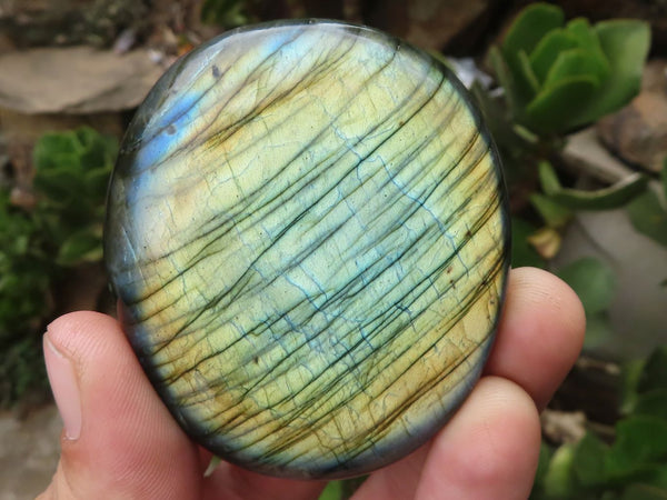 Polished Flashy Labradorite Palm Stones  x 13 From Tulear, Madagascar - TopRock