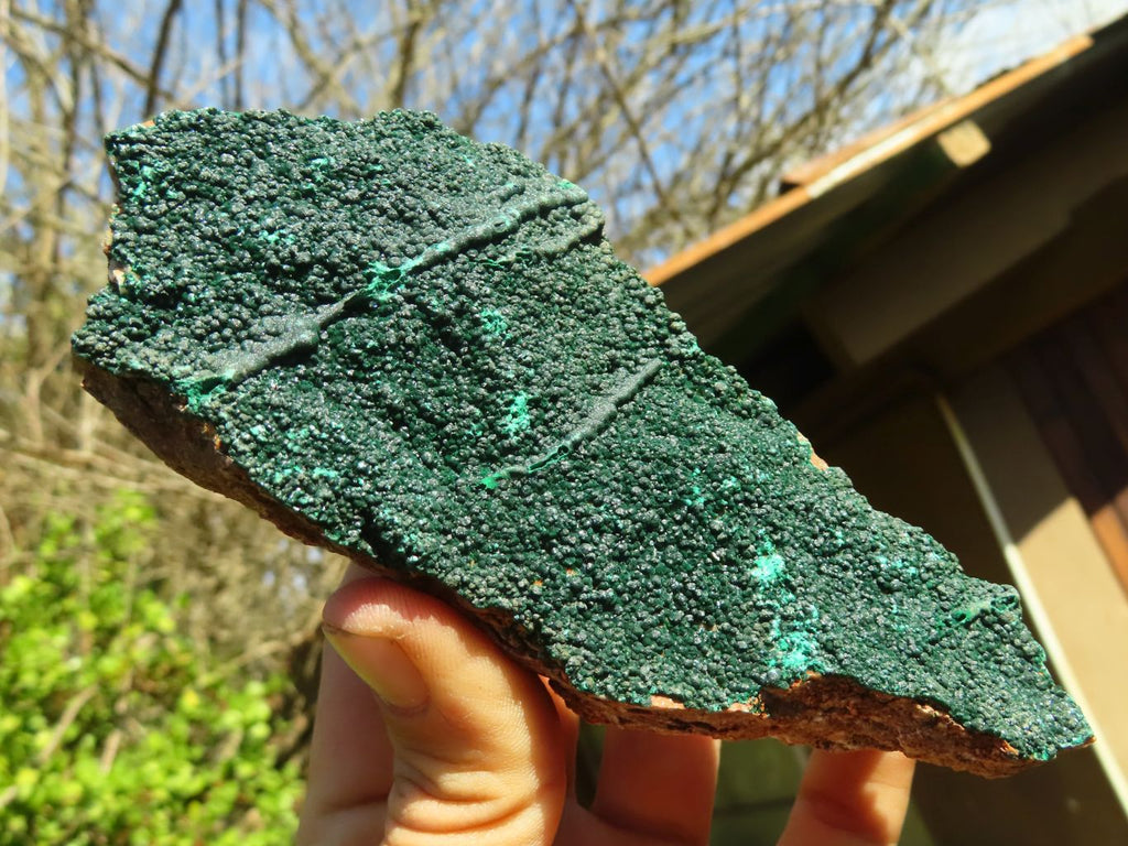 Natural Micro Botryoidal Crystalline Malachite Specimens  x 2 From Congo - Toprock Gemstones and Minerals 