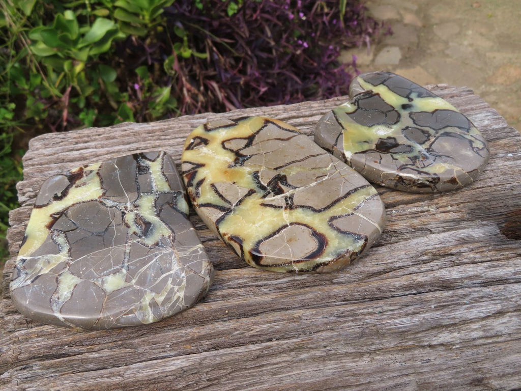 Polished Septerye (Calcite & Aragonite) Slices x 3 From Mahajanga, Madagascar - TopRock