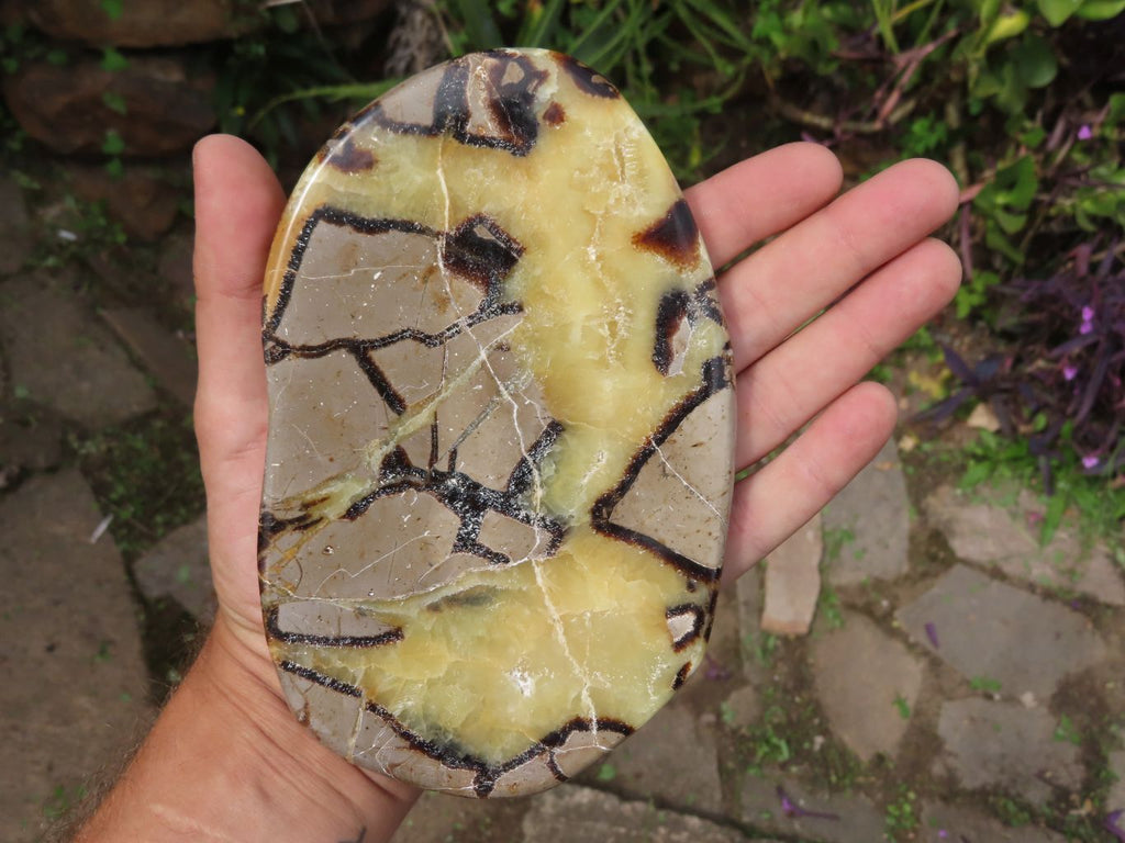 Polished Septerye (Calcite & Aragonite) Slices x 3 From Mahajanga, Madagascar - TopRock