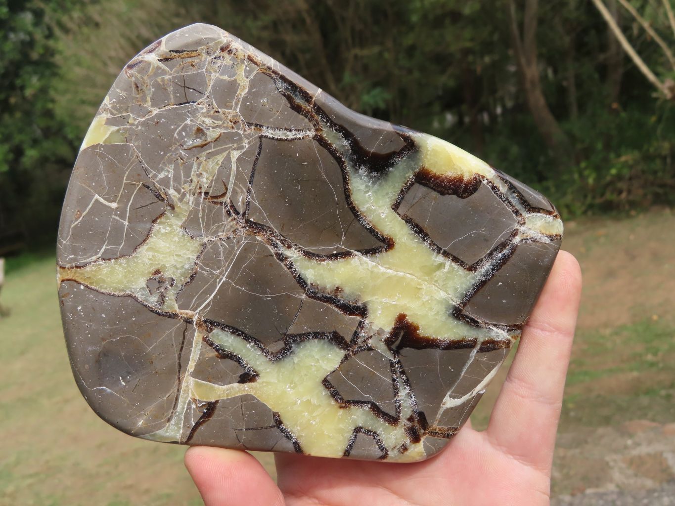 Polished Septerye (Calcite & Aragonite) Slices x 3 From Mahajanga, Madagascar - TopRock
