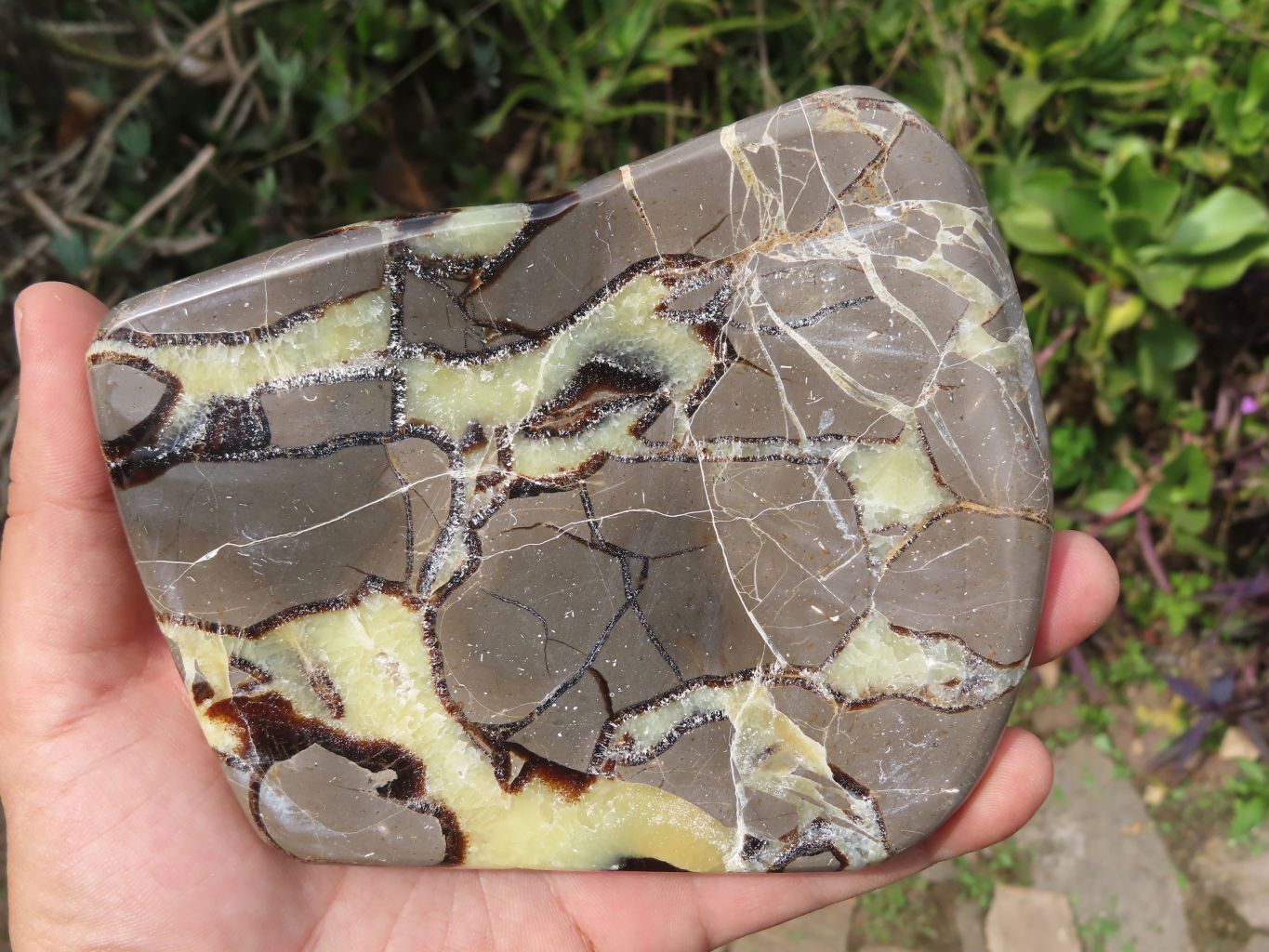 Polished Septerye (Calcite & Aragonite) Slices x 3 From Mahajanga, Madagascar - TopRock