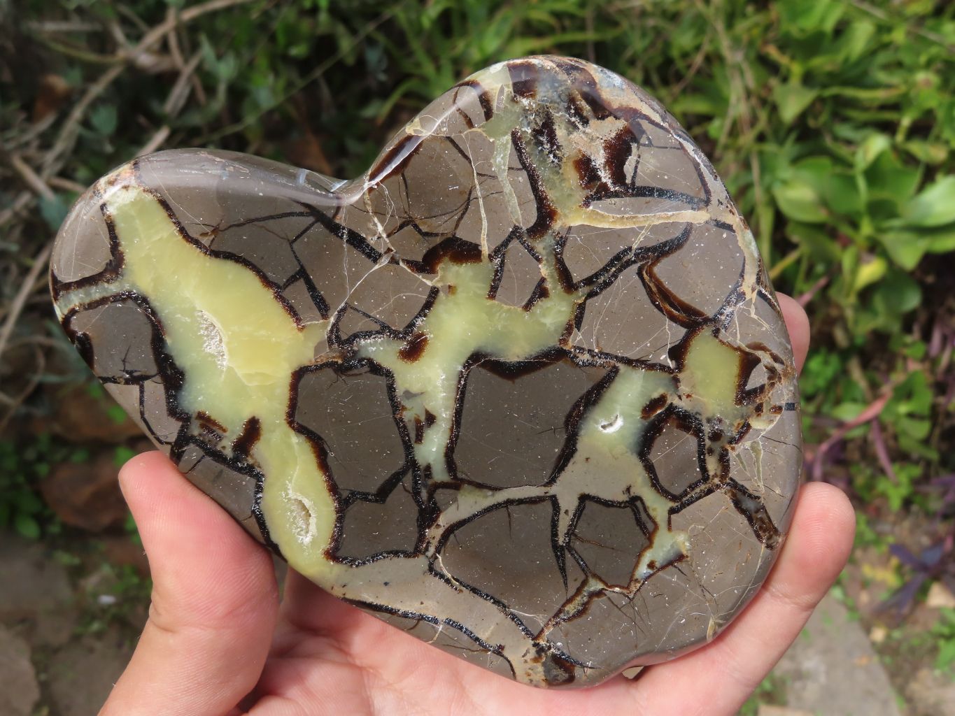 Polished Septerye (Calcite & Aragonite) Slices x 3 From Mahajanga, Madagascar - TopRock
