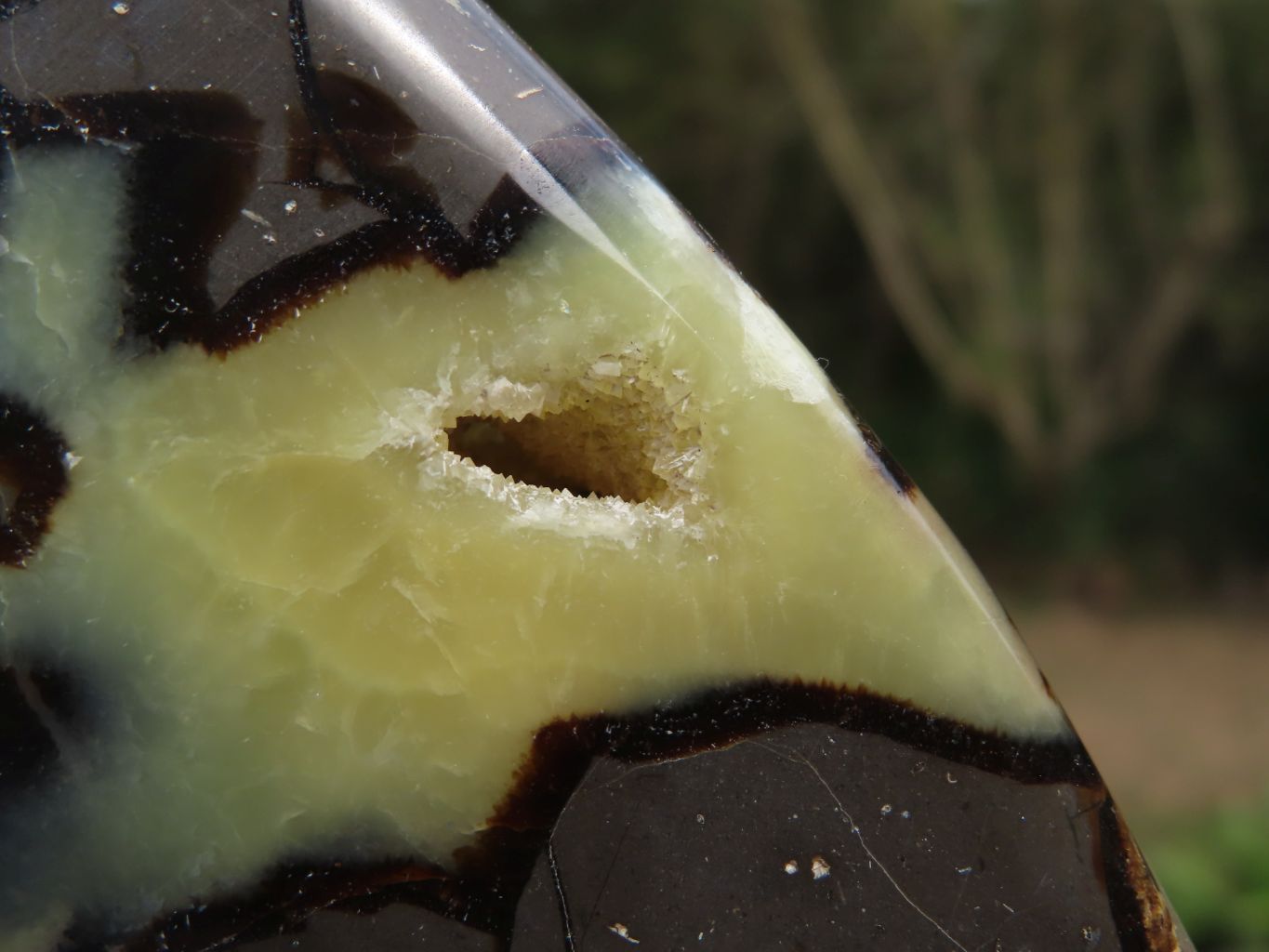 Polished Septerye (Calcite & Aragonite) Slices x 3 From Mahajanga, Madagascar - TopRock