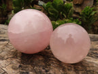 Polished Gemmy Rose Quartz Spheres  x 2 From Madagascar - Toprock Gemstones and Minerals 