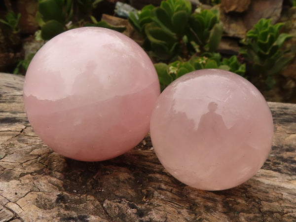 Polished Gemmy Rose Quartz Spheres  x 2 From Madagascar