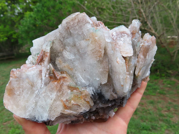 Natural Barite Large Bladed (Heavy) Mineral Cabinet Specimen x 1 From Tenke Fungurume, Congo - TopRock