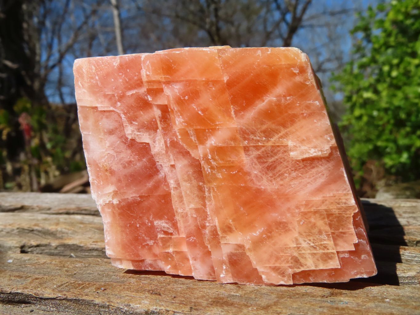 Natural New Sunset Orange Calcite Specimens  x 12 From Spitzkop, Namibia - Toprock Gemstones and Minerals 