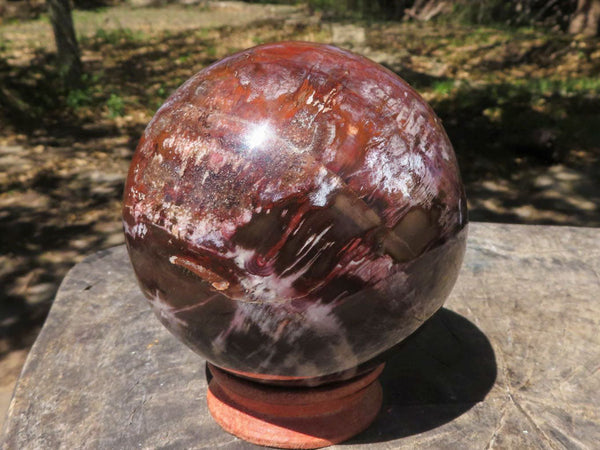 Polished Petrified Red Podocarpus Wood Sphere & Rosewood Stand  x 2 From Mahajanga, Madagascar - TopRock