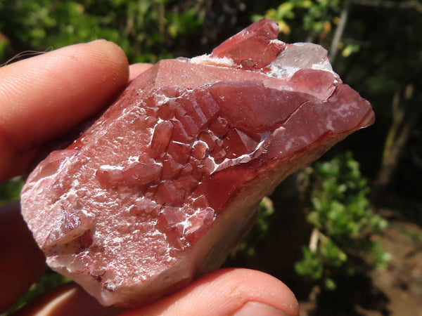 Natural Red Hematoid Phantom Quartz Clusters  x 12 From Karoi, Zimbabwe - Toprock Gemstones and Minerals 