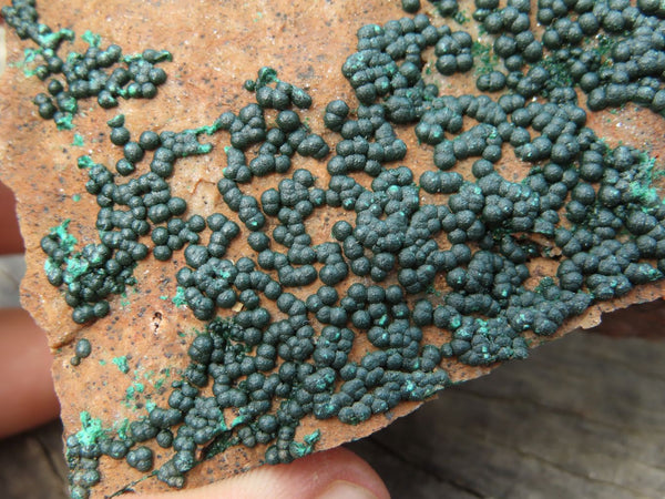 Natural Classic Botryoidal Malachite on Basal Matrix Specimens  x 4 From Tenke Fungumure, Congo - TopRock