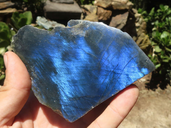 Polished One Side Polished Labradorite Slices  x 12 From Madagascar - TopRock