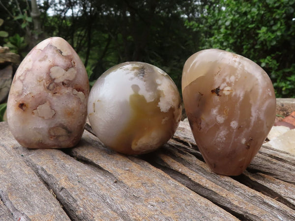 Polished Coral Flower Agate Standing Free Forms & Sphere  x 3 From Maintirano, Madagascar - TopRock