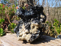 Natural Extra Large Splayed Schorl Black Tourmaline & Vermiculite Specimen x 1 From Erongo, Namibia